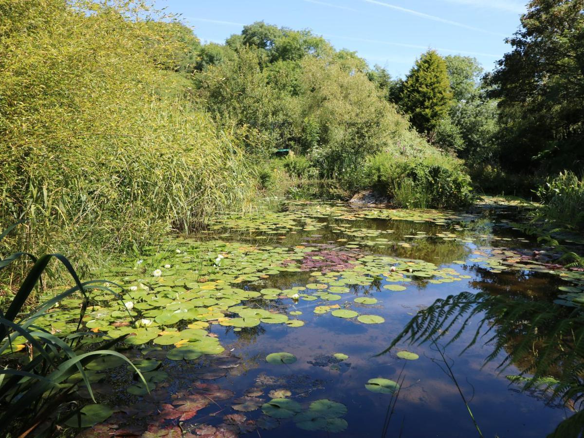 Pond Cottage Truro Exteriör bild